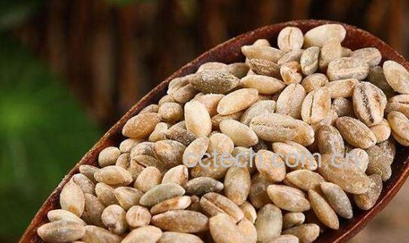 青稞米什么人不能吃 吃青稞米的禁忌-1