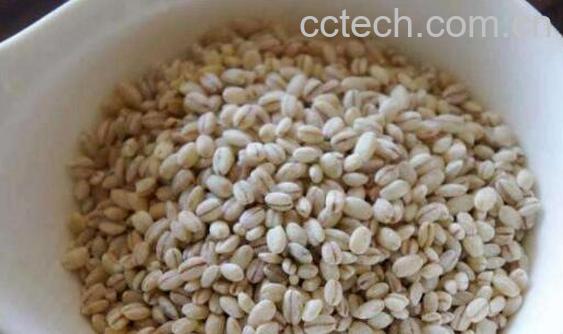 青稞压片的功效与作用-0