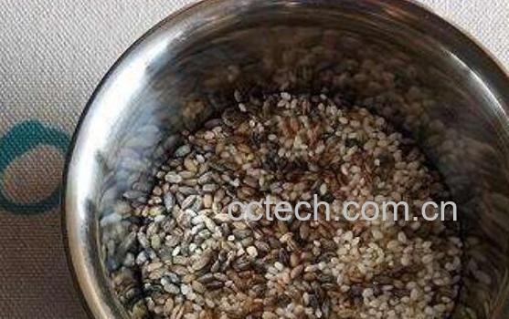 青稞压片的功效与作用-1