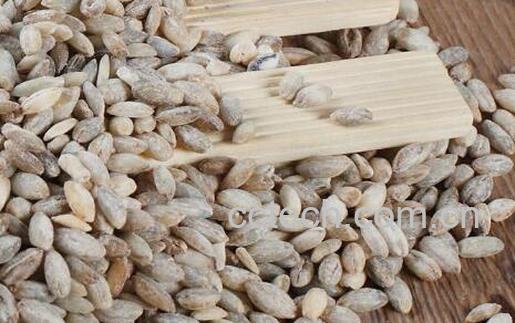 蓝青稞米与白青稞米的区别 吃青稞米的好处-1