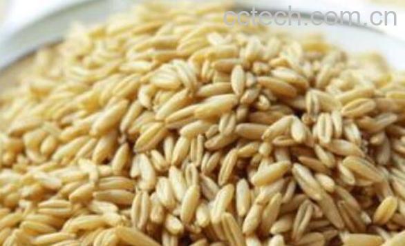 滑燕麦米怎么吃 滑燕麦米的食用方法-1