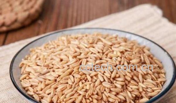 滑燕麦米怎么吃 滑燕麦米的食用方法-0