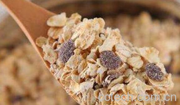 燕麦片的功效与作用 吃燕麦片的好处-1
