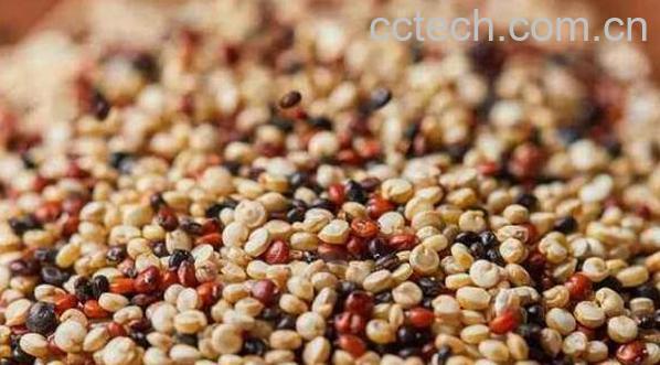 黎麦的功效与作用及食用方法-1