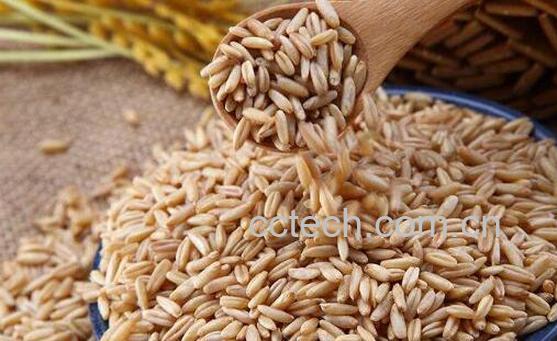 燕麦米怎么煮 燕麦米的家常做法教程-0