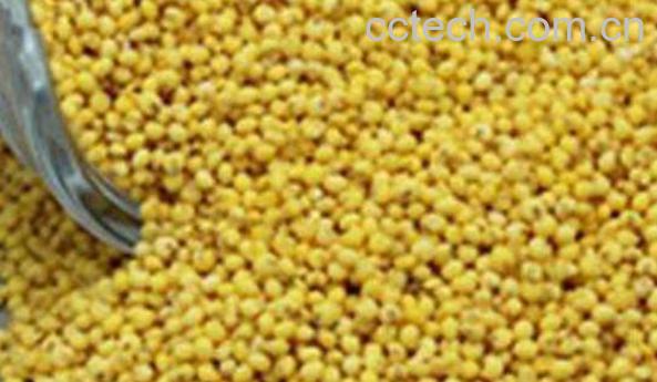 稷米与黍米区别 吃稷米的好处-1