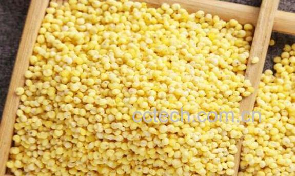 稷米与黍米区别 吃稷米的好处-0