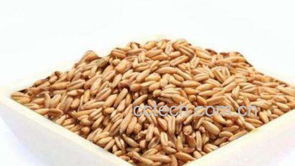 长期吃燕麦的好处与坏处-1