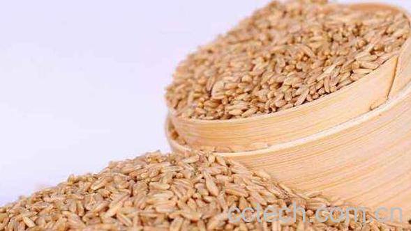 长期吃燕麦的好处与坏处-0