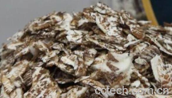 黑麦的功效与作用 黑麦的禁忌-1