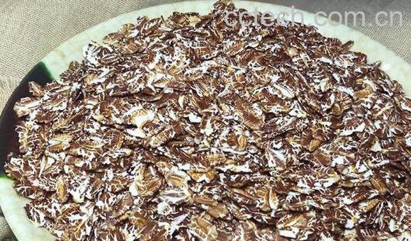 黑麦的功效与作用 黑麦的禁忌-0