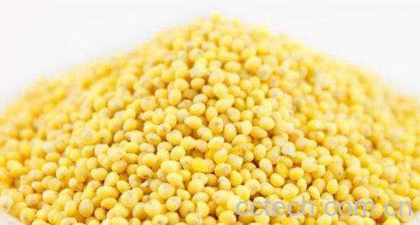 稷米的功效与作用 吃稷米的好处-0