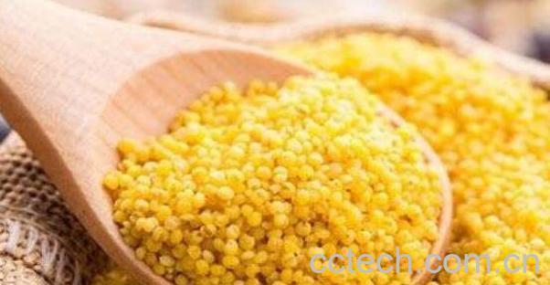 稷米的功效与作用 吃稷米的好处-1