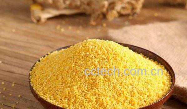 小黄米的功效与作用 小黄米的禁忌-1