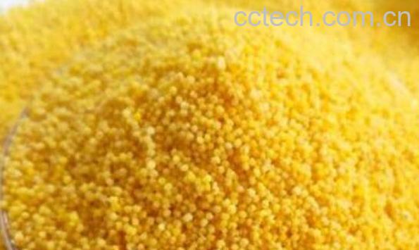 小黄米怎么吃 每天吃小黄米的危害-1