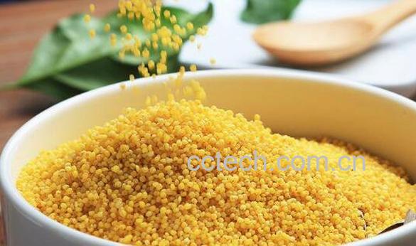 小黄米怎么吃 每天吃小黄米的危害-0