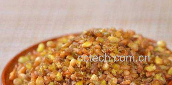 苦荞麦怎么吃 苦荞麦怎么泡水喝-1