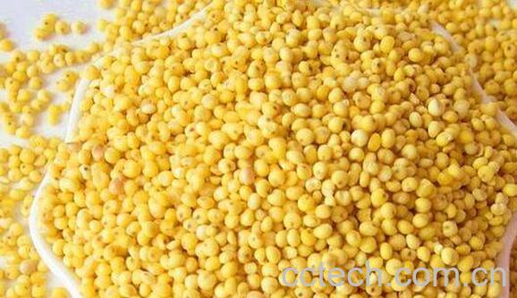 大黄米发苦的真正原因 大黄米的禁忌-1