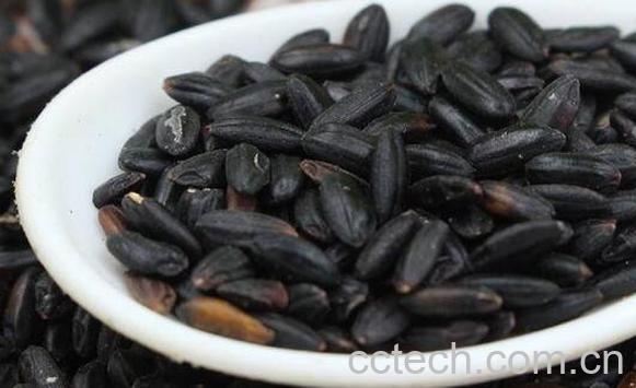 紫米和黑米的区别 紫米和黑米哪个好-0