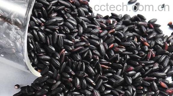 黑糯米的功效与作用 吃黑糯米的禁忌-1