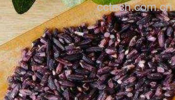 黑米和黑糯米的区别 黑米和黑糯米哪个好-1