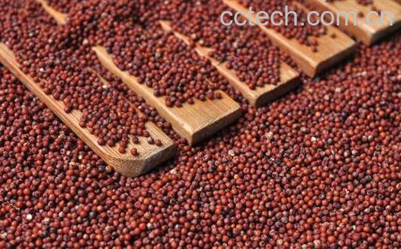 红粟米怎么吃 红粟米的正确吃法-0