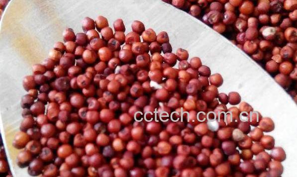 红粟米怎么吃 红粟米的正确吃法-1