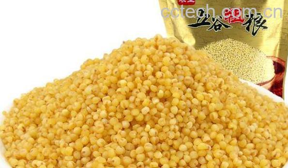 黍米怎么做好吃 黍米的吃法-1