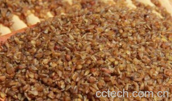 甜荞麦和苦荞麦的区别 荞麦的功效与作用-1