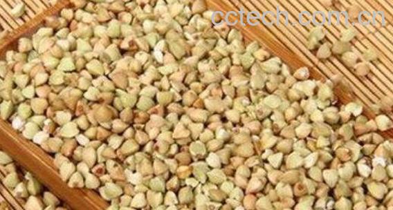 甜荞麦和苦荞麦的区别 荞麦的功效与作用-0