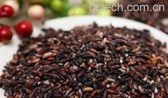 血糯米和黑米的区别-0