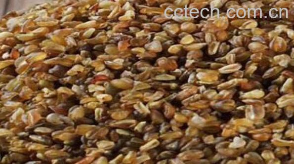 苦荞麦怎么吃最好 苦荞麦的吃法大全-0