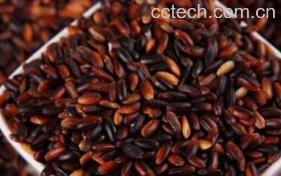 血糯米和黑米的区别-1