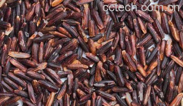 泰国红糙米怎么做好吃 东北红糙米怎么吃-0