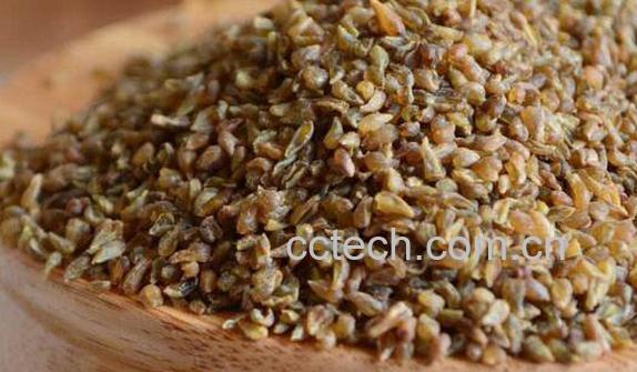 苦荞麦和苦荞米的区别 吃苦荞麦的好处-1