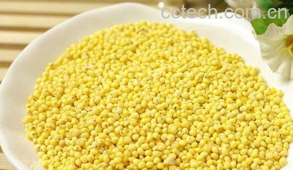 大黄米怎么吃最好 大黄米的正确食用方法-0