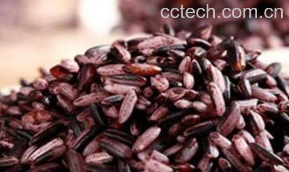 血糯米粥怎么做 血糯米粥的做法教程-0