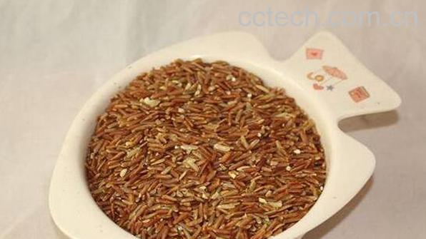 红糙米和白糙米的区别-1