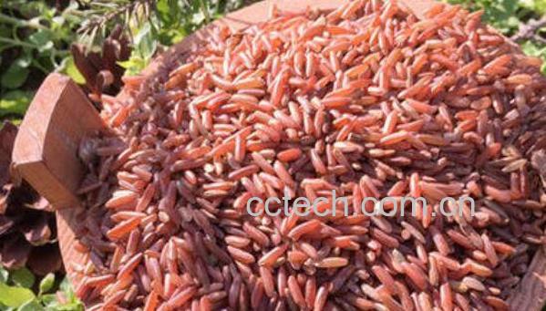 红糙米怎么吃最好 红糙米的家常做法-1