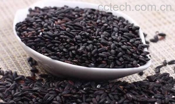黑米和黑香米的区别 怎样鉴别黑米好坏-0