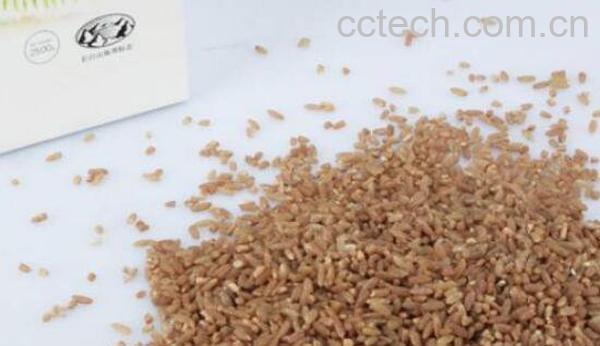 鹿血米怎么吃法 鹿血米怎么煮-1