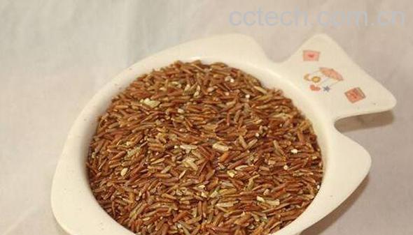 糙米怎么吃 糙米的正确食用方法-0