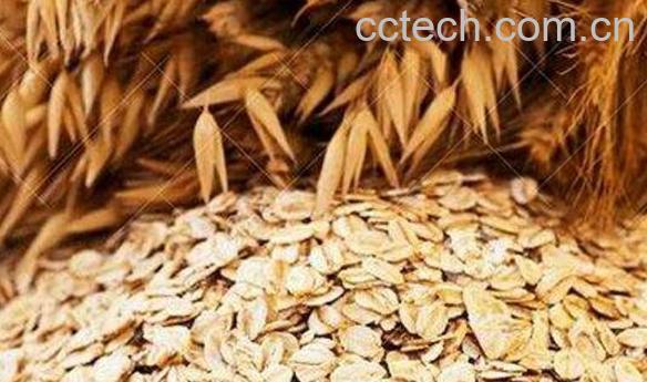 长期吃燕麦的好处 长期吃燕麦的坏处-0