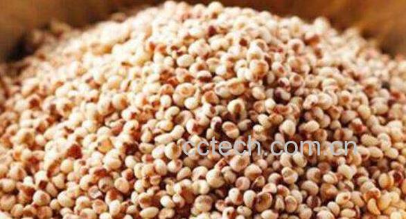 高粱米的营养价值 吃高粱米有什么好处-0