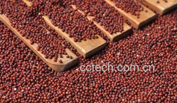 鸭脚粟的功效与作用-0