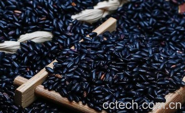 黑香米的功效与作用-1