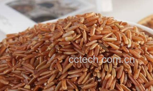 红糙米的功效与作用-0