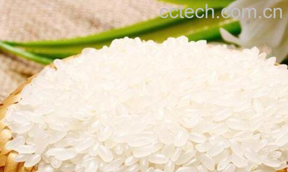香米和大米的区别-1