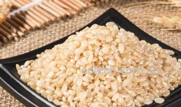 糙米怎么吃 糙米的食用方法-1