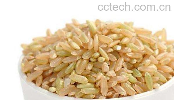糙米的营养价值 糙米的功效与作用-1